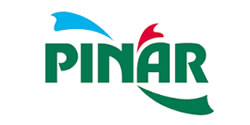 Pınar