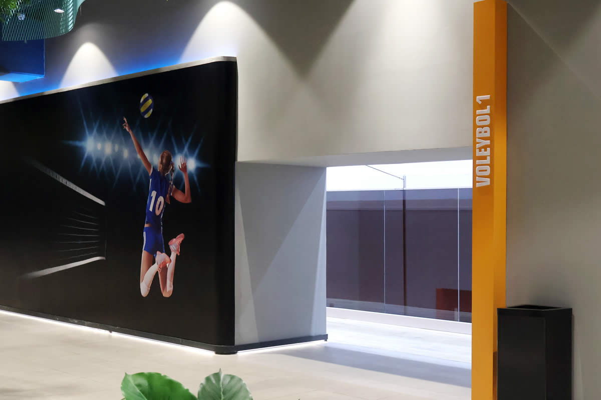 Erkek Voleybol - Saha